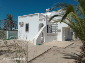 La rose Djerba